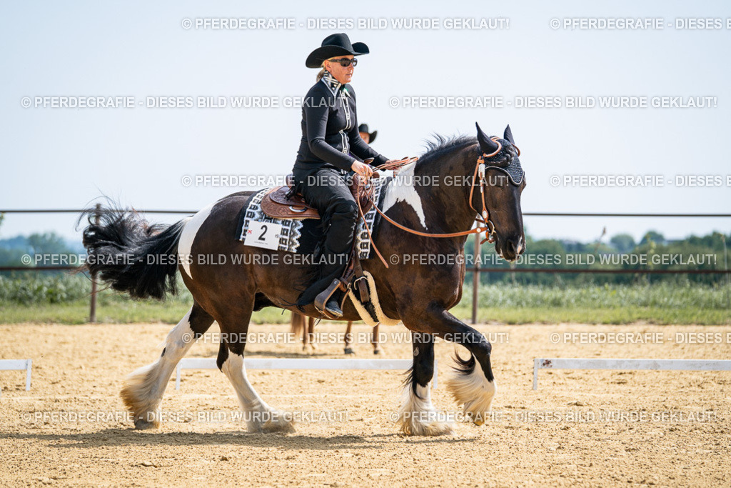 DSC00228 | Pferdegrafie