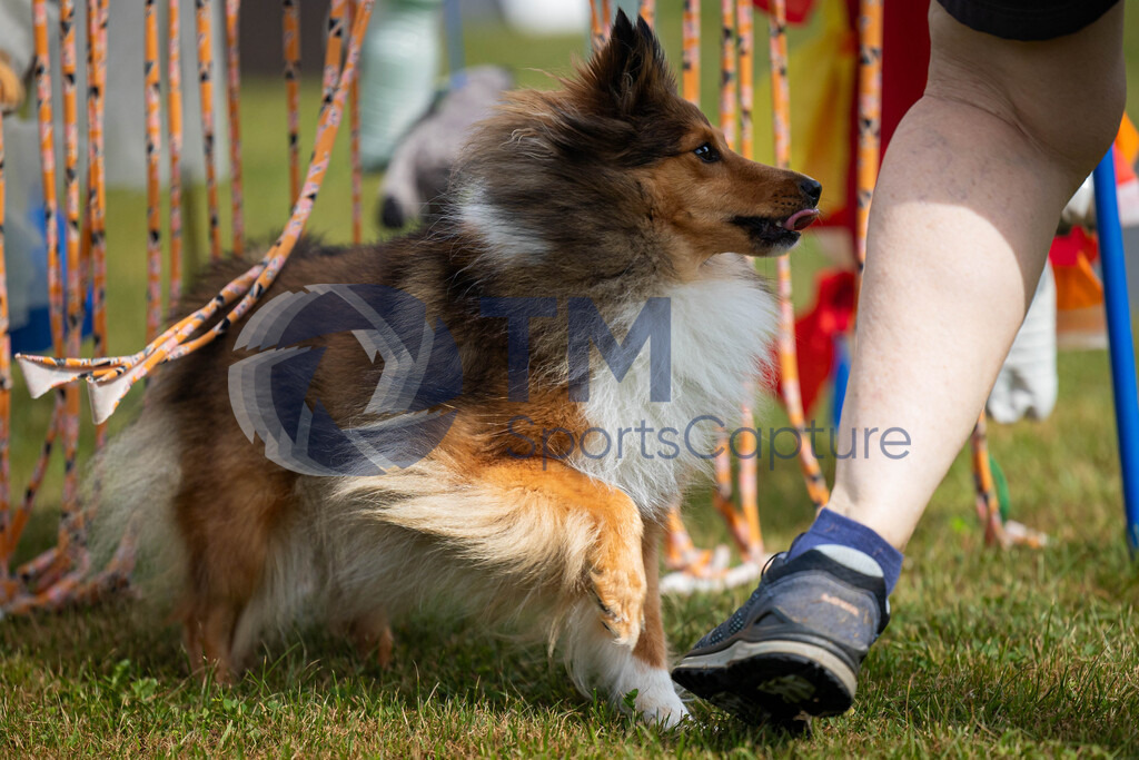 TP-20240815-0063 | Copyright: Trainproduction / Matthias Trinkl