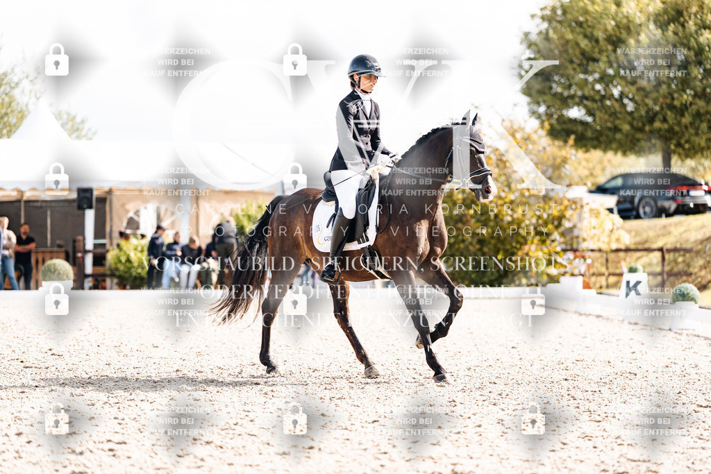 CK902154 | Turnierfotografie Pferdefotografie Trier Rheinland-Pfalz Pferdesport Reitsport Tierfotografie Sportfotografie Pferdevideo Pferdevideografie Equestrianvideography equestrianphotography  - Realisiert mit Pictrs.com