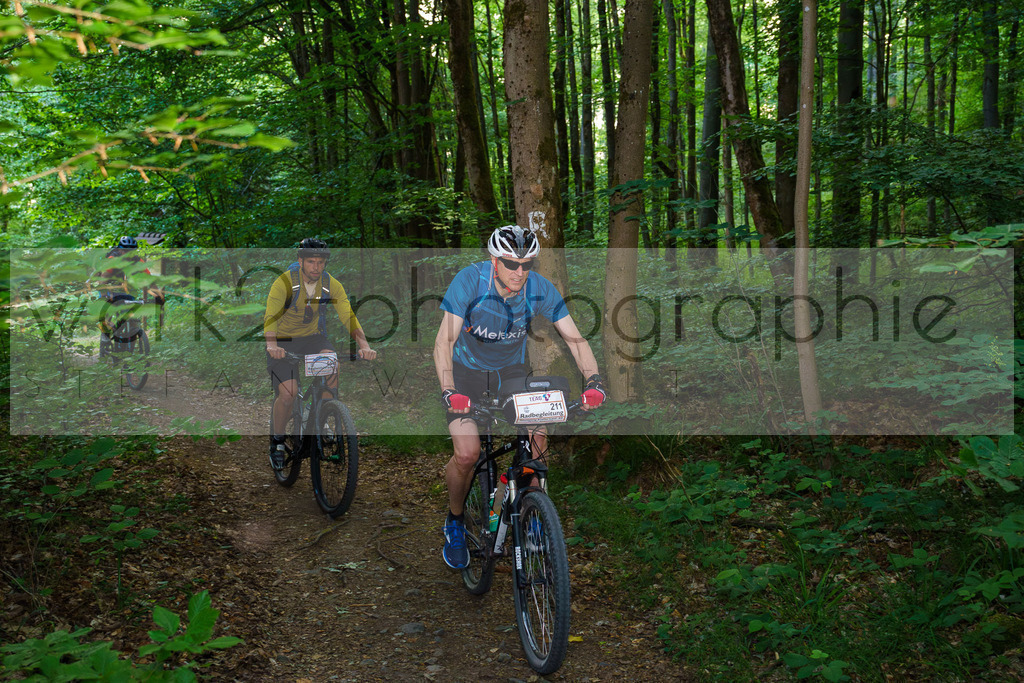 Rennsteig-Staffellauf 2023 | Rennsteig-Staffellauf - Hörschel bis Blankenstein - 17. Juni 2023