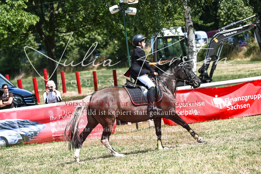 DSC_9773 | Pferde- und Turnierfotografie in Westsachsen. Pferdeportraits, Auftragszeichnungen und intuitive Kunst.