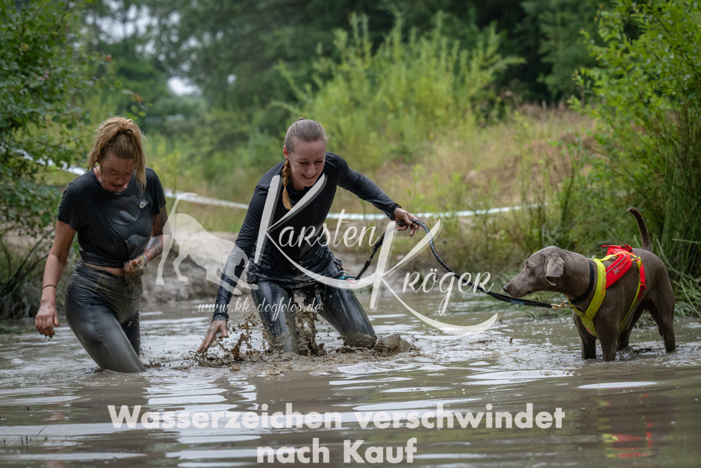1019_ZZ93482 | kk-dogfotos
