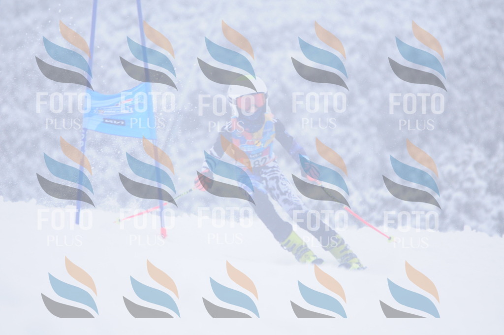 C2093 | holidayphoto