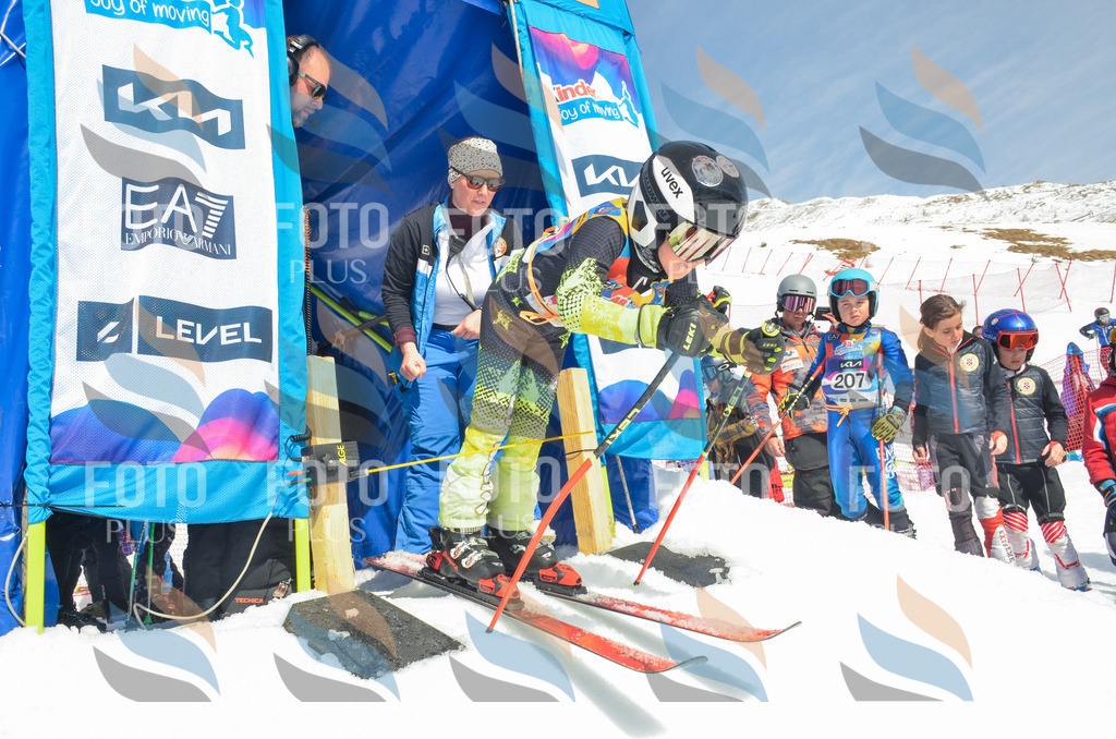 _ELE6474 | holidayphoto