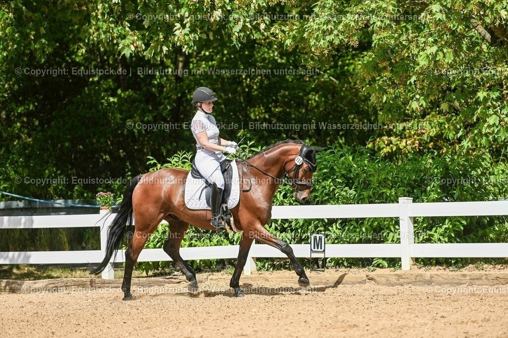 20230715_02_Dressurreiterprüfung Kl.L_0215 | equistock