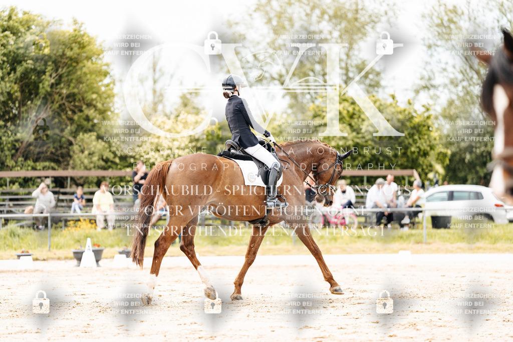 CK902818 | Turnierfotografie Pferdefotografie Trier Rheinland-Pfalz Pferdesport Reitsport Tierfotografie Sportfotografie Pferdevideo Pferdevideografie Equestrianvideography equestrianphotography  - Realisiert mit Pictrs.com