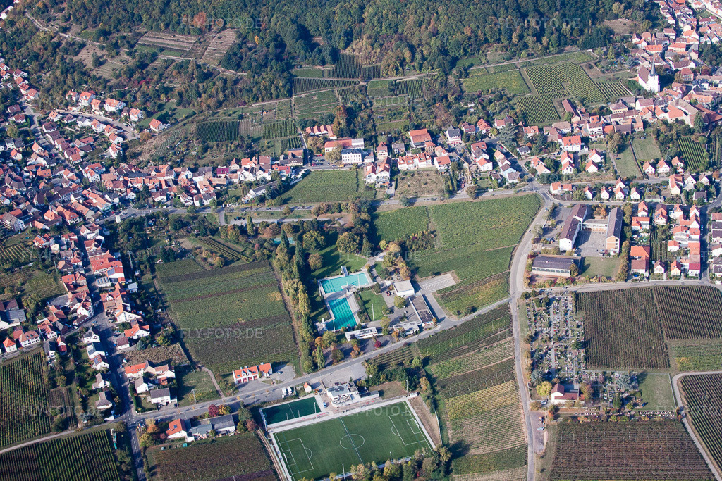 Luftbild: Schwimmbecken des Freibades Förderverein Hambacher Schwimmbad e.V. im Ortsteil Hambach an der Weinstraße im Ortsteil Hambach an der Weinstraße in Neustadt im Bundesland Rheinland-Pfalz in Deutschland. Foto: IMG_22090.jpg vom 15.10.2009 durch Werner Riehm/FLY-FOTO.de