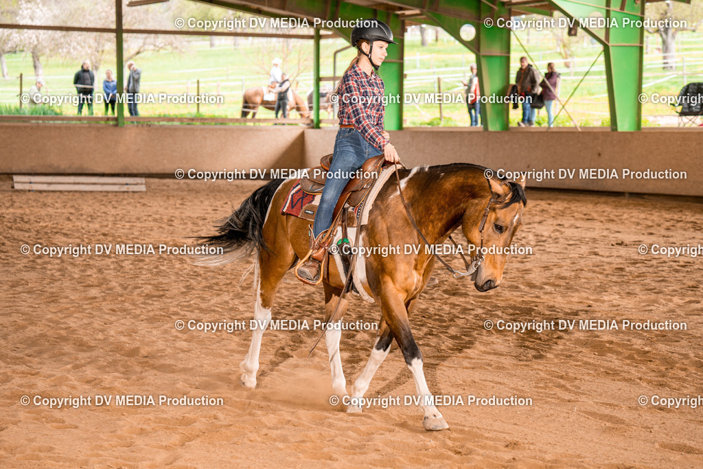 BA400860 | dv-media-shop - Realisiert mit Pictrs.com