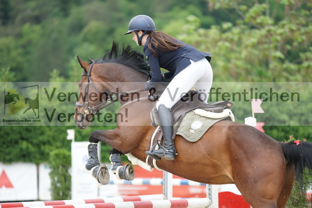 DSC06701 | equestrian-live-com