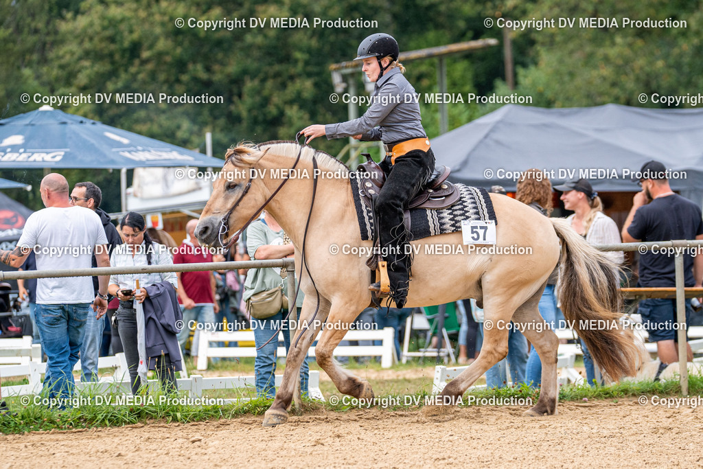 LM Heiligenwald Tag 2-2390 | dv-media-shop - Realisiert mit Pictrs.com