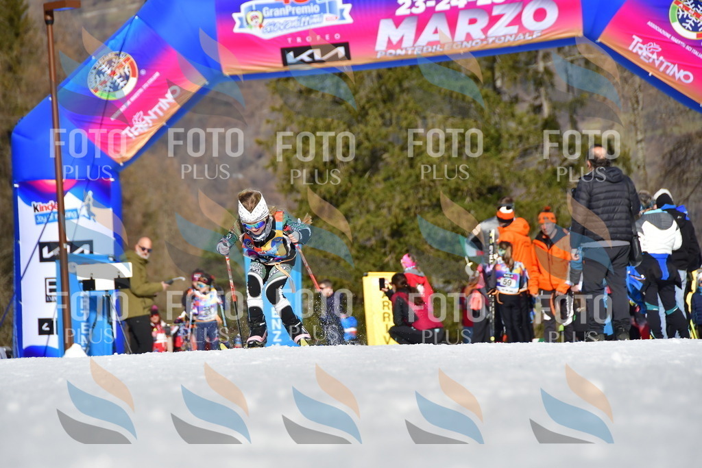 _DSC8800 | holidayphoto