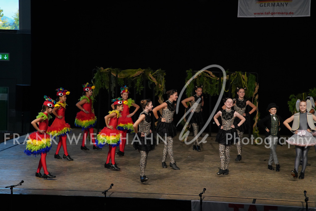 steppdm22_2912 | FRANK WIESEHAHN MEDIA - Realisiert mit Pictrs.com