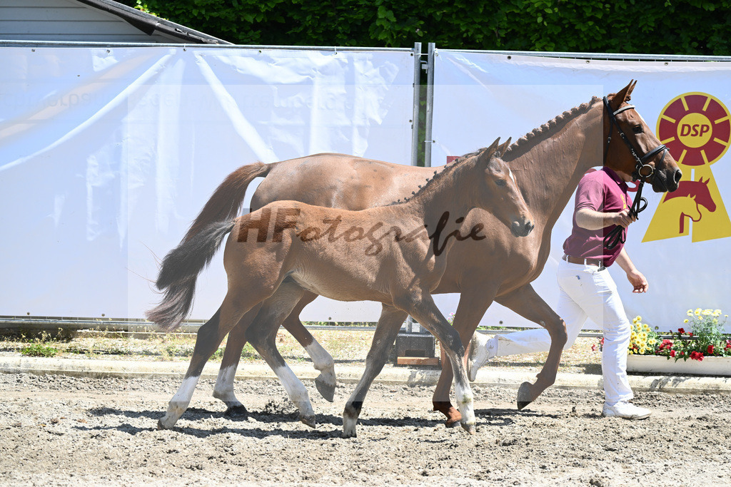 Kat-Nr. 35 HF Million Dollar_Mueller_12230892 | hf-fotografie - Realizzato con Pictrs.com