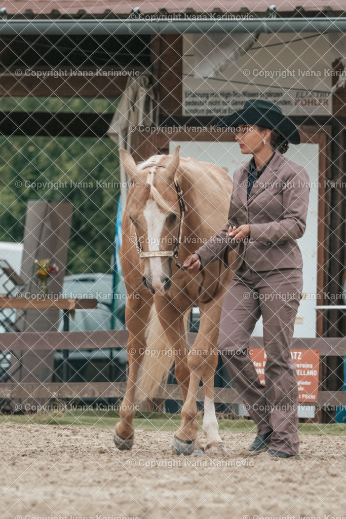 DSC02963 | ikphotography - Realisiert mit Pictrs.com