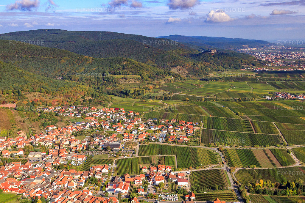 Luftbild: Stadtansicht mit Blick zum Hambacher Schloß im Ortsteil SaintMartin in Sankt Martin im Bundesland Rheinland-Pfalz in Deutschland. Foto: IMG_22149.jpg vom 15.10.2009 durch Werner Riehm/FLY-FOTO.de