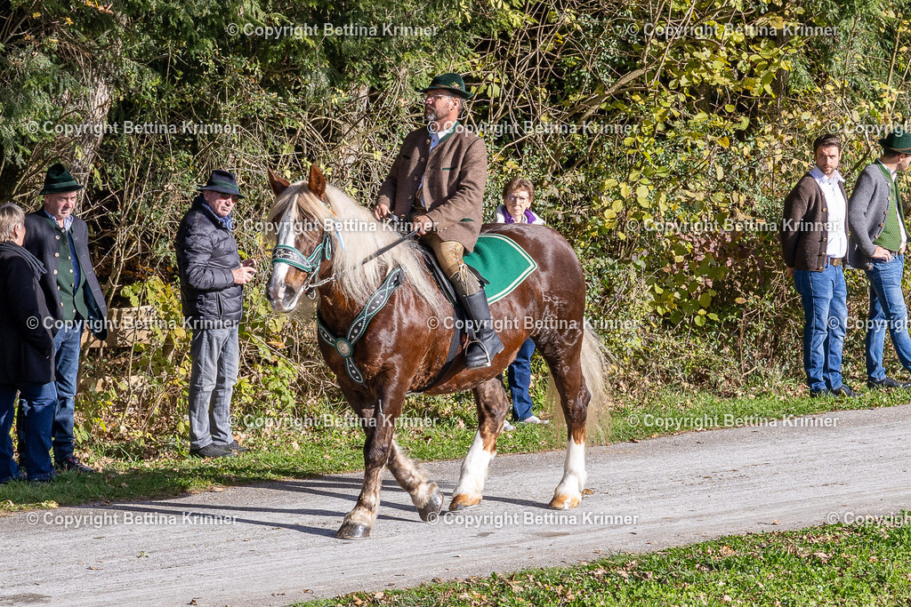 LBT24-917 | foto-bettina-krinner - Realisiert mit Pictrs.com