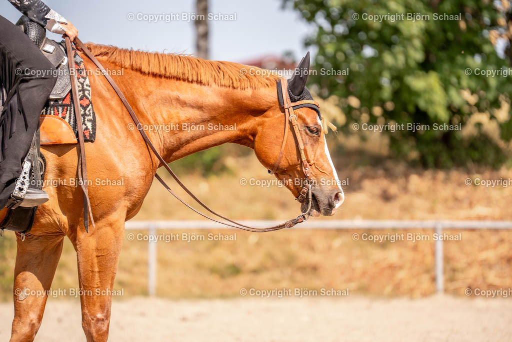 LOE04504 | BS-foto
