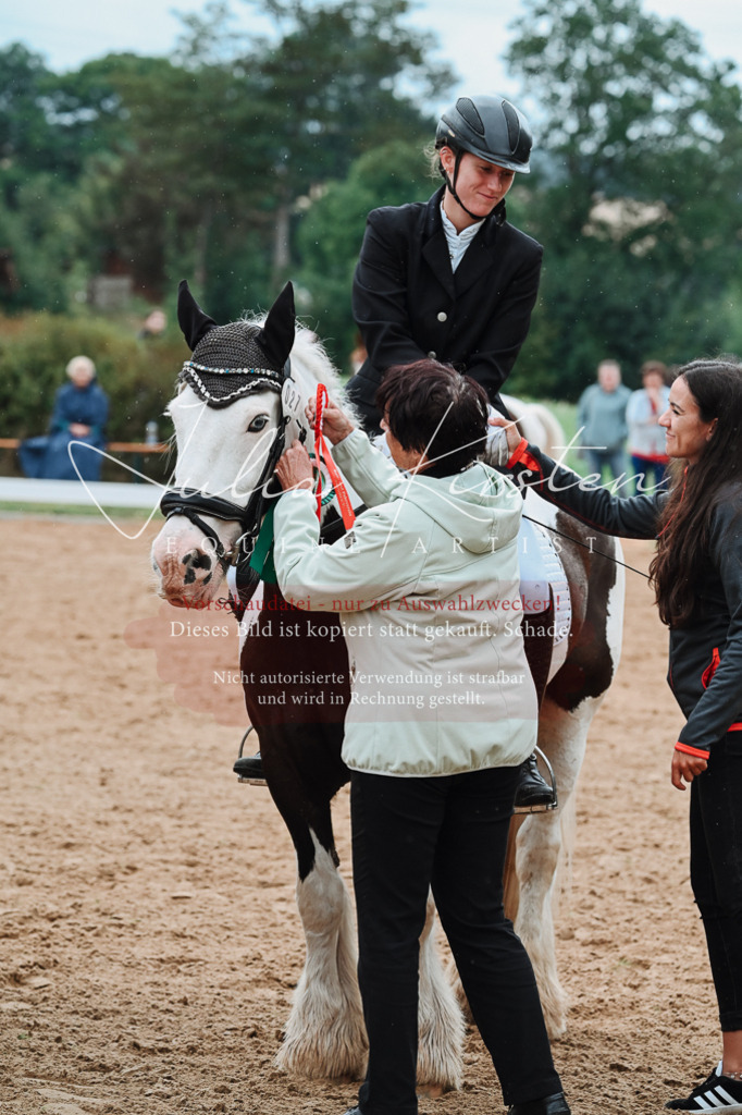 DSC_7272 | Pferde- und Turnierfotografie in Westsachsen. Pferdeportraits, Auftragszeichnungen und intuitive Kunst.