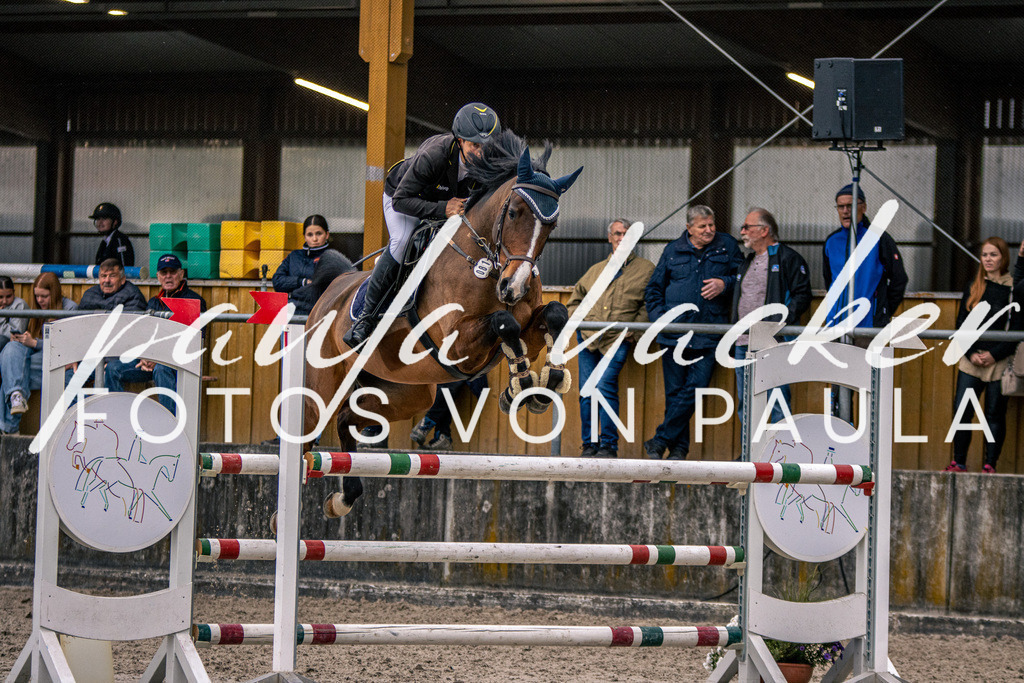 IMG_6180 | Erleben Sie dynamische Sport- und emotionale Tierfotografie in Süddeutschland mit Fotos von Paula. Spezialisiert auf Pferde- und Hundefotografie sowie Sportevents. Kontaktieren Sie mich für einzigartige und ausdrucksstarke Bilder Ihrer besonderen Momente.