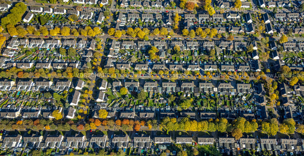 Moers221004175 | Luftbild, Arbeitersiedlung Meerbeck-Hochstraß, zwischen Ruhrstraße und Fuldastraße, Baumallee und Bäume in Herbstfarben, Formen und Farben, Moers-Hochstraß, Moers, Ruhrgebiet, Nordrhein-Westfalen, Deutschland