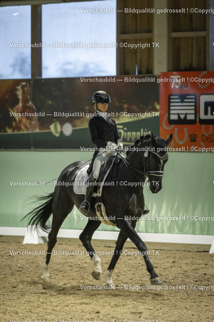 _D5A7344 | Emotionale Pferde- & People-Fotografie rund um Heidelberg, Leimen & Umgebung. Natürliche Fotos von Pferd, Mensch & Familie. Jetzt Termin sichern!