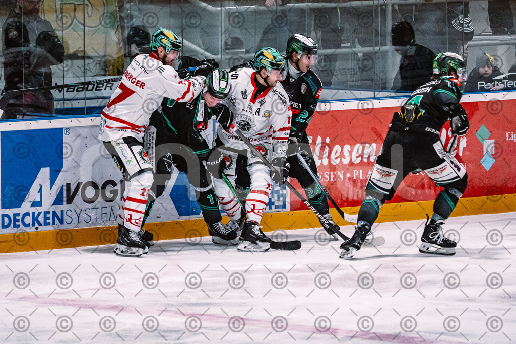 Alligators_vs_Toelz_15_02_2026-22 | Höchstadt Alligators Fotogalerie: Eishockey-Action aus Franken. Professionelle Spielfotos, Portraits & Stadionbilder zum Download. Jetzt entdecken! - Realisiert mit Pictrs.com