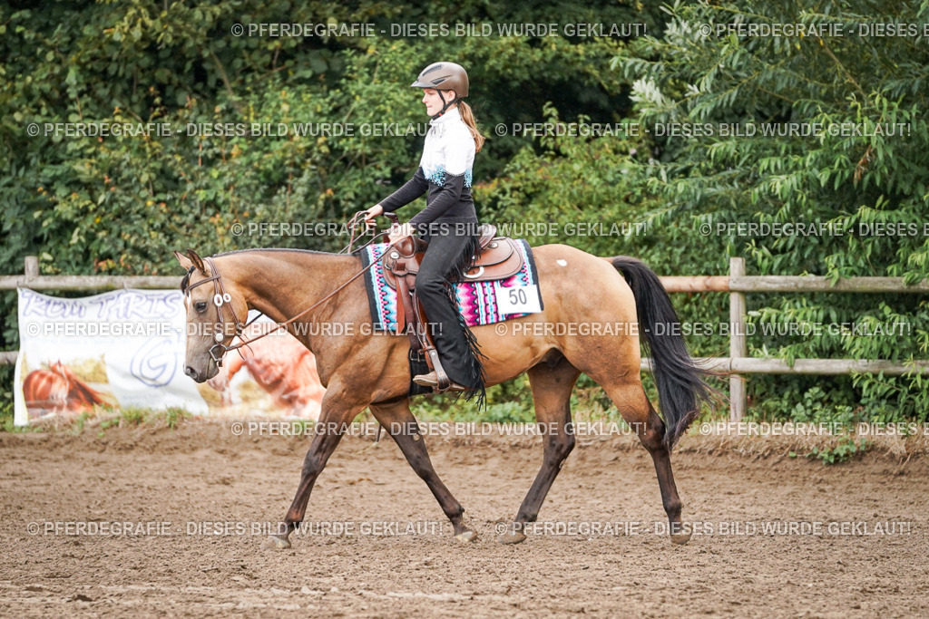 DSC04532 | Pferdegrafie