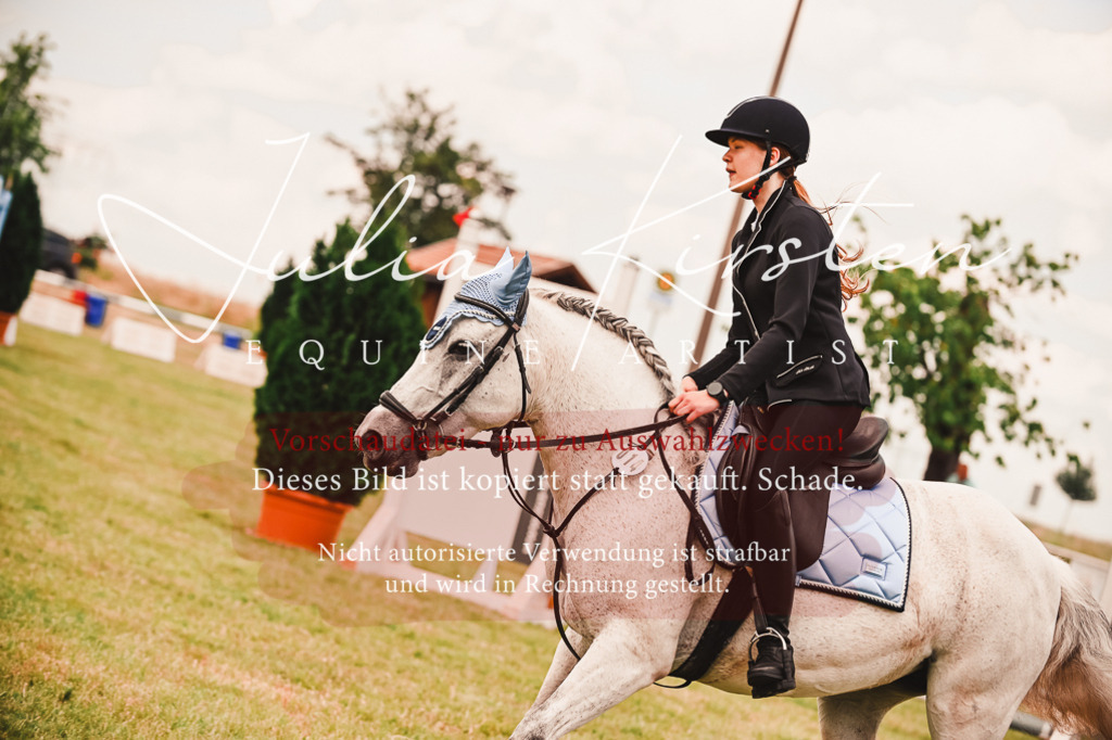 DSC_6978 | Pferde- und Turnierfotografie in Westsachsen. Pferdeportraits, Auftragszeichnungen und intuitive Kunst.