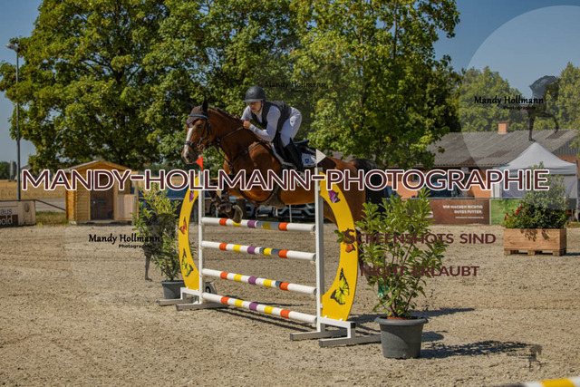 26-7-24 SPF M+-827 | mandyhollmannphotographie
