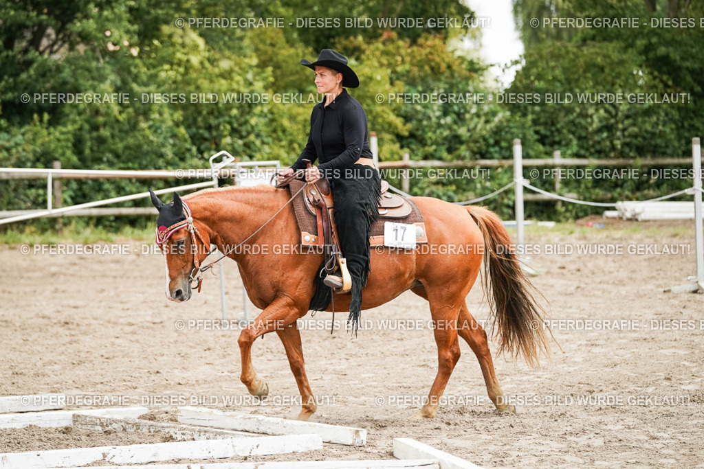 DSC08067 | Pferdegrafie