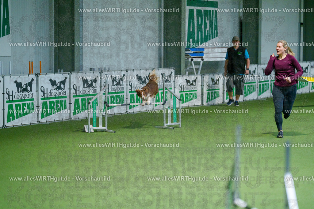 @allesWIRTHgut_Tierfotografie - www.allesWIRTHgut.de - 2604250811-7R505638 | Professionelle Tierfotografie in Mönchengladbach von Daniel Wirth (allesWIRTHgut). Liebevolle & natürliche Bilder von Hunden & Katzen für unvergessliche Erinnerungen.