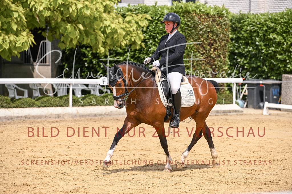 Schugtsche-Aluta25-55.Dressurreiterprf.L1Tr-118 | Schugtsche Fotografie - Realisiert mit Pictrs.com