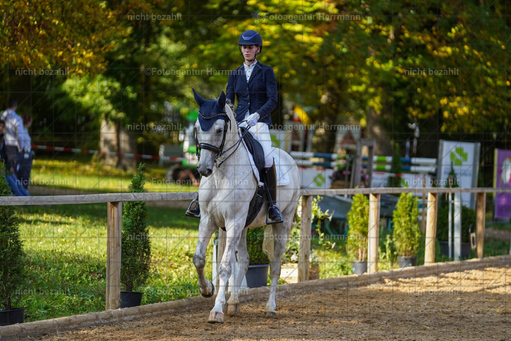 20221007-FAH00071 | Diessen am Ammersee, 2022, Dressur- und Springturnier, Reitsportbilder, Turnierfotografen Bayern, Pferdefotografen, Fotoagentur Herrmann, Turnierbilder