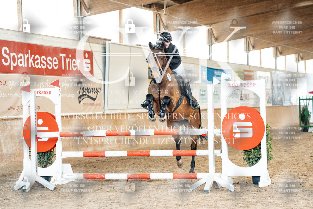 CK904868 | Turnierfotografie Pferdefotografie Trier Rheinland-Pfalz Pferdesport Reitsport Tierfotografie Sportfotografie Pferdevideo Pferdevideografie Equestrianvideography equestrianphotography  - Realisiert mit Pictrs.com