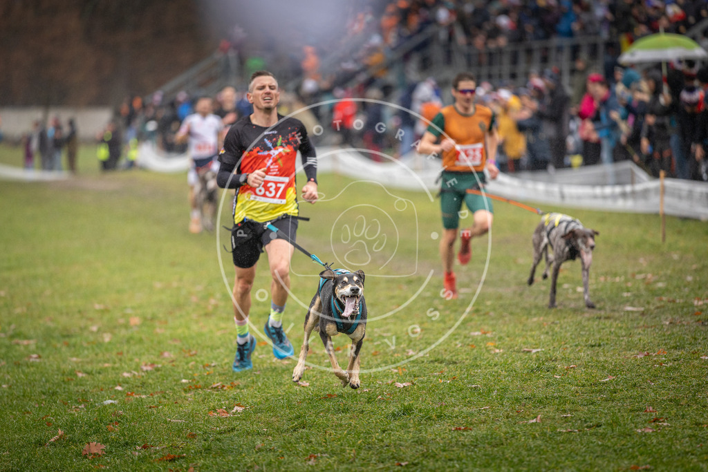 CaniXpix_DV3A9694 | Hundefotografie, Tierfotograf, Pfotenfotografie, Fotoshooting Hund, Hunde Portrait, Hundesport, Hundeportraits, Heideshooting, Hunde, Sportfotograf, Hundefotograf, Turnierhundsport, THS,  - Realisiert mit Pictrs.com