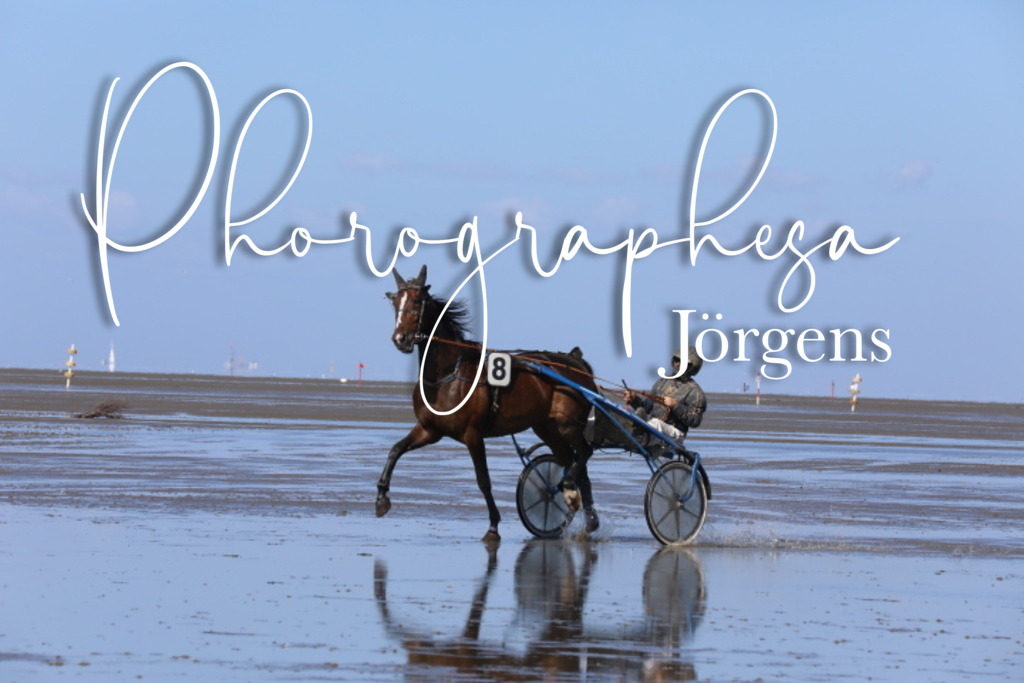 IMG_0170 | photographesa-joergens - Realisiert mit Pictrs.com