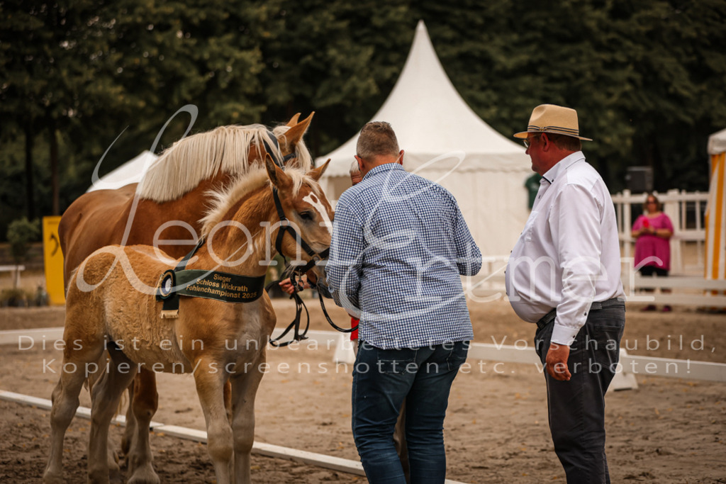 SaHF00145 | Leoni Ertmer Photography - Realisiert mit Pictrs.com