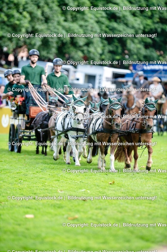 20250606_Lange-Pferdenacht_0110 | Foto: Thomas Hartig