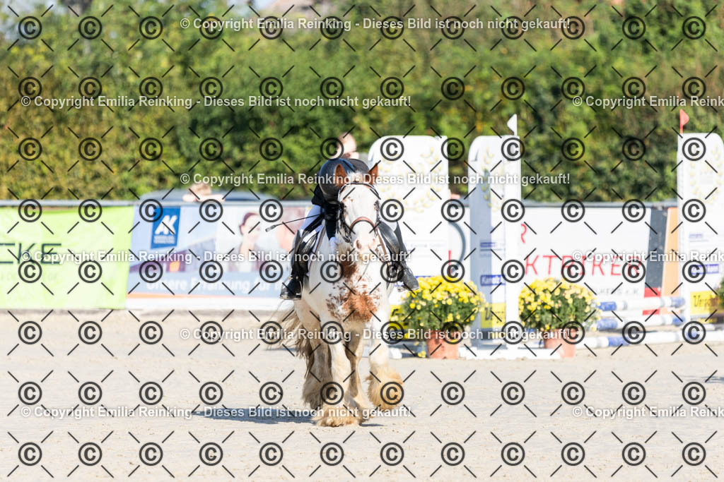 CL5A0151 | Emilia Reinking Fotografie - Realisiert mit Pictrs.com