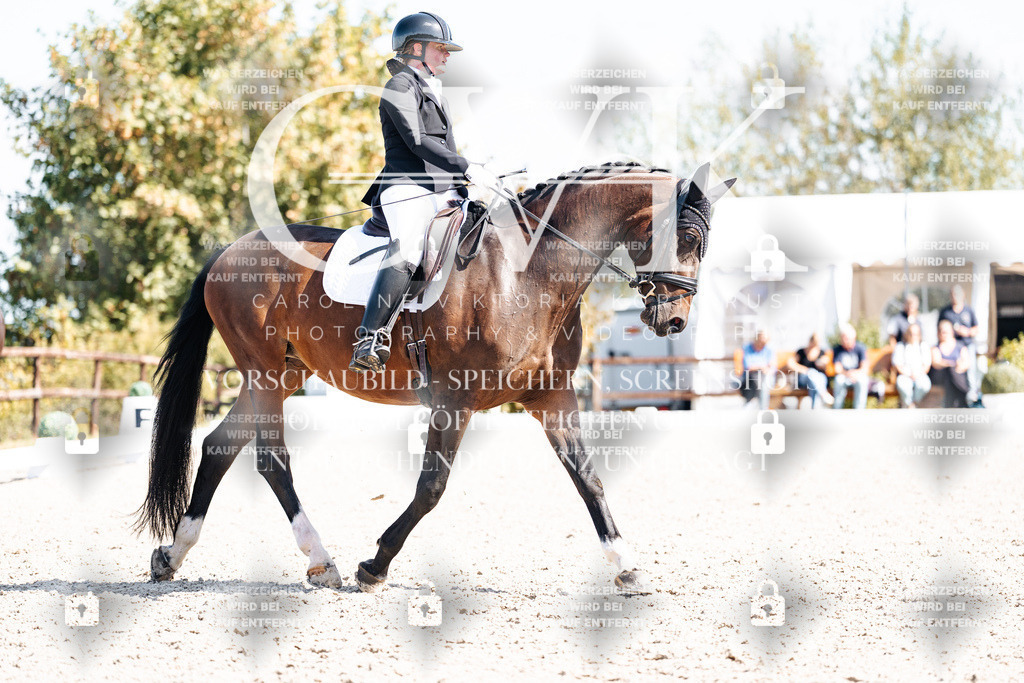 CK903421 | Turnierfotografie Pferdefotografie Trier Rheinland-Pfalz Pferdesport Reitsport Tierfotografie Sportfotografie Pferdevideo Pferdevideografie Equestrianvideography equestrianphotography  - Realisiert mit Pictrs.com