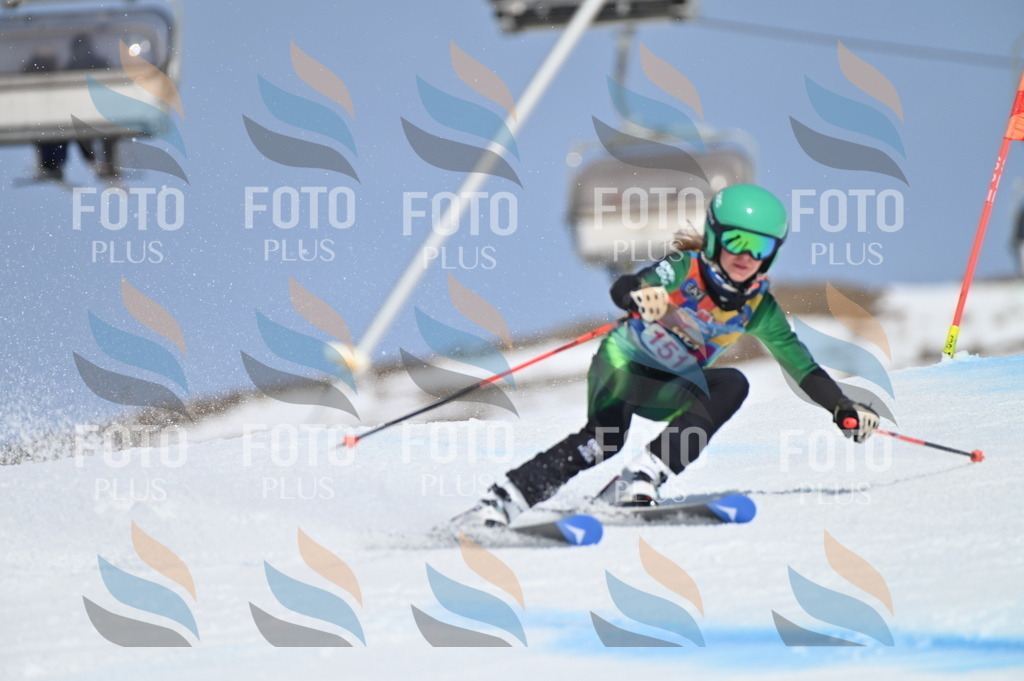 BGV_0064 | holidayphoto