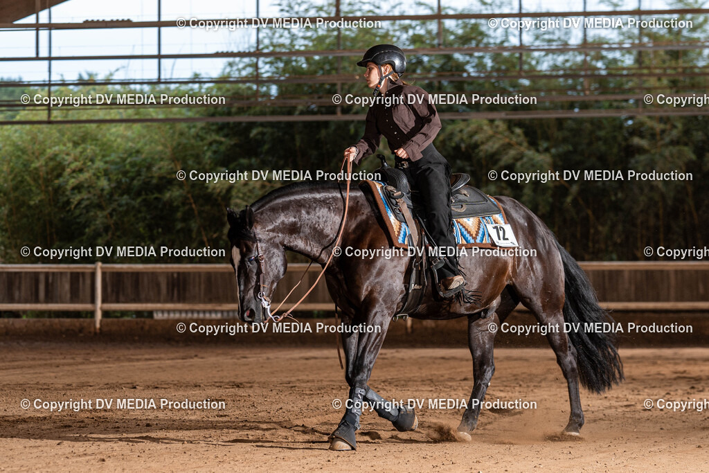 Erbach Tag 1-1197 | dv-media-shop - Realisiert mit Pictrs.com