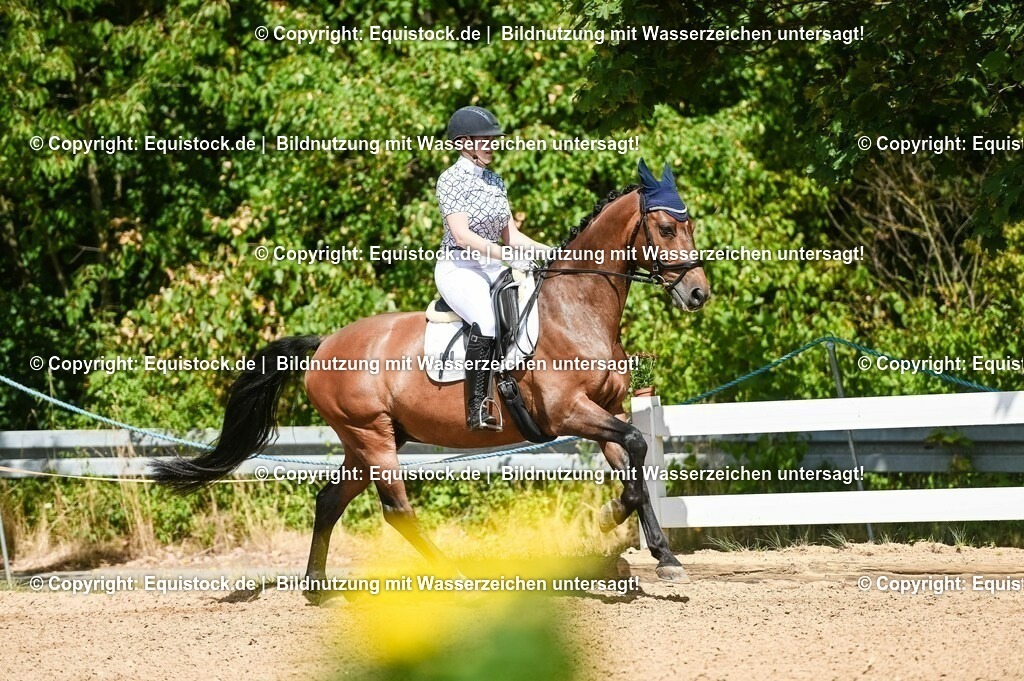 20230715_02_Dressurreiterprüfung Kl.L_0151 | equistock