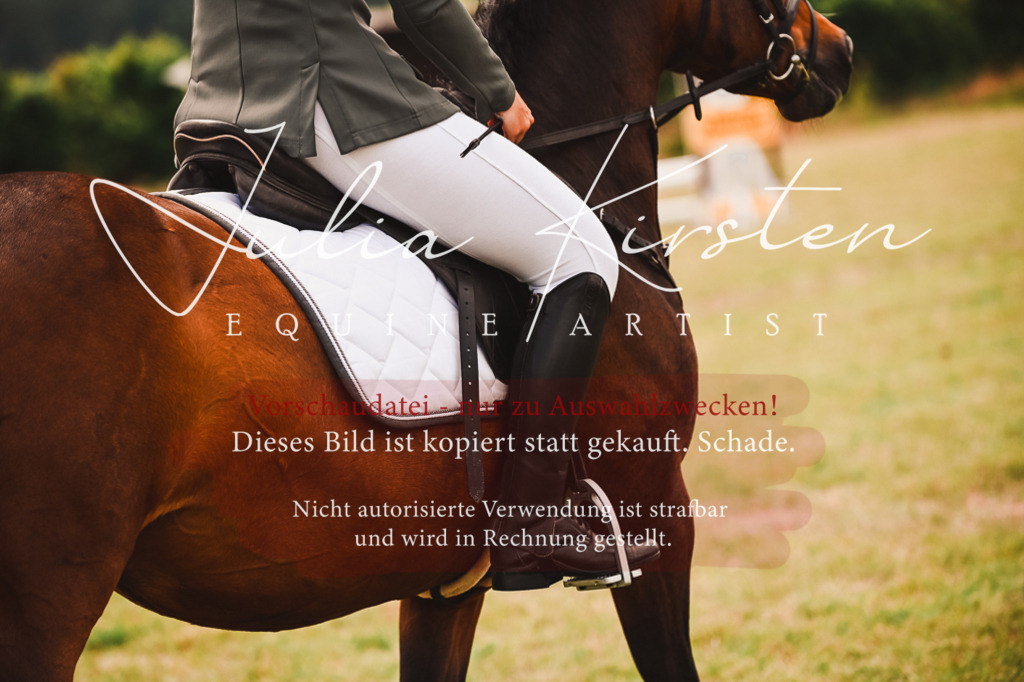 DSC_6895 | Pferde- und Turnierfotografie in Westsachsen. Pferdeportraits, Auftragszeichnungen und intuitive Kunst.