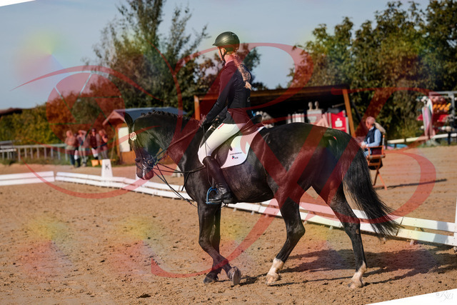 2026_10_03_Siefer-Hof_115612_Z63_31065362 | Professionelle Reitsport-, Turnier- und Eventfotografie von Robert Broda. Galerien mit ausgewählten und bearbeiteten Bildern direkt online ansehen und bestellen.