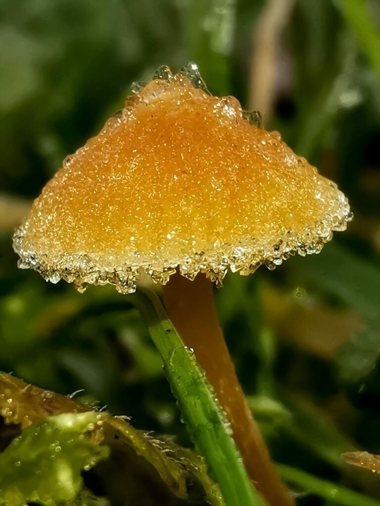 PSX_20221203_235228 | mtkfoto_ - Realisiert mit Pictrs.com