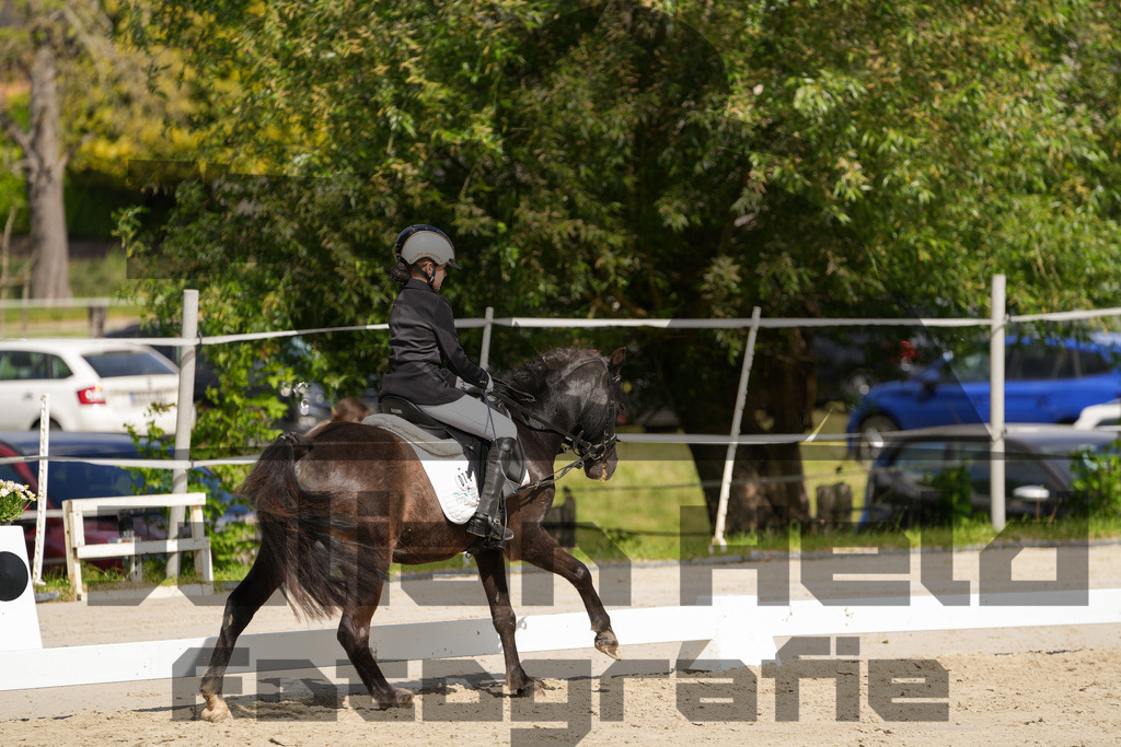 DSC03128 | Julian Held Fotografie - Realisiert mit Pictrs.com