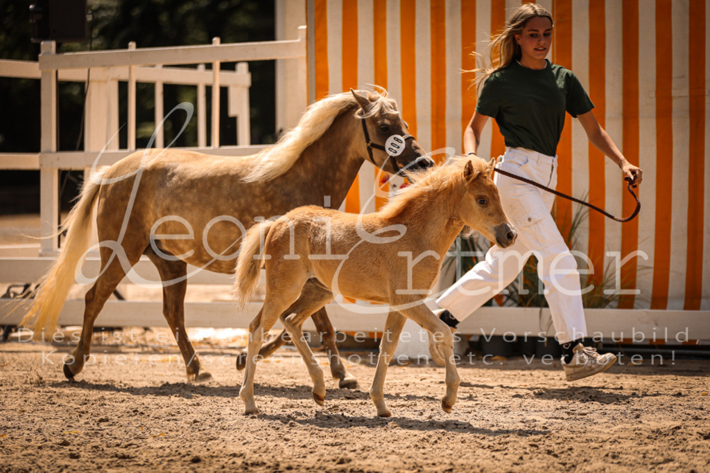 02.DoSR00044 | Leoni Ertmer Photography - Realisiert mit Pictrs.com