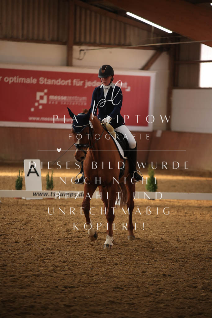 IMGT7671 | pl-fotografie