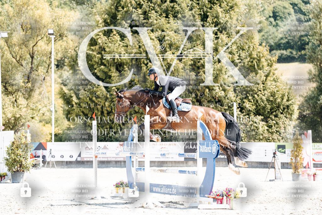 CK900137 | Turnierfotografie Pferdefotografie Trier Rheinland-Pfalz Pferdesport Reitsport Tierfotografie Sportfotografie Pferdevideo Pferdevideografie Equestrianvideography equestrianphotography  - Realisiert mit Pictrs.com